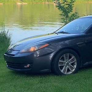 Meet your Posher, Leo